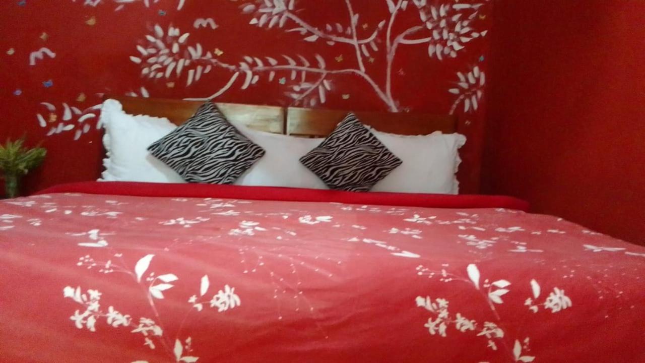 Secret Nest Homestay Procida Dış mekan fotoğraf