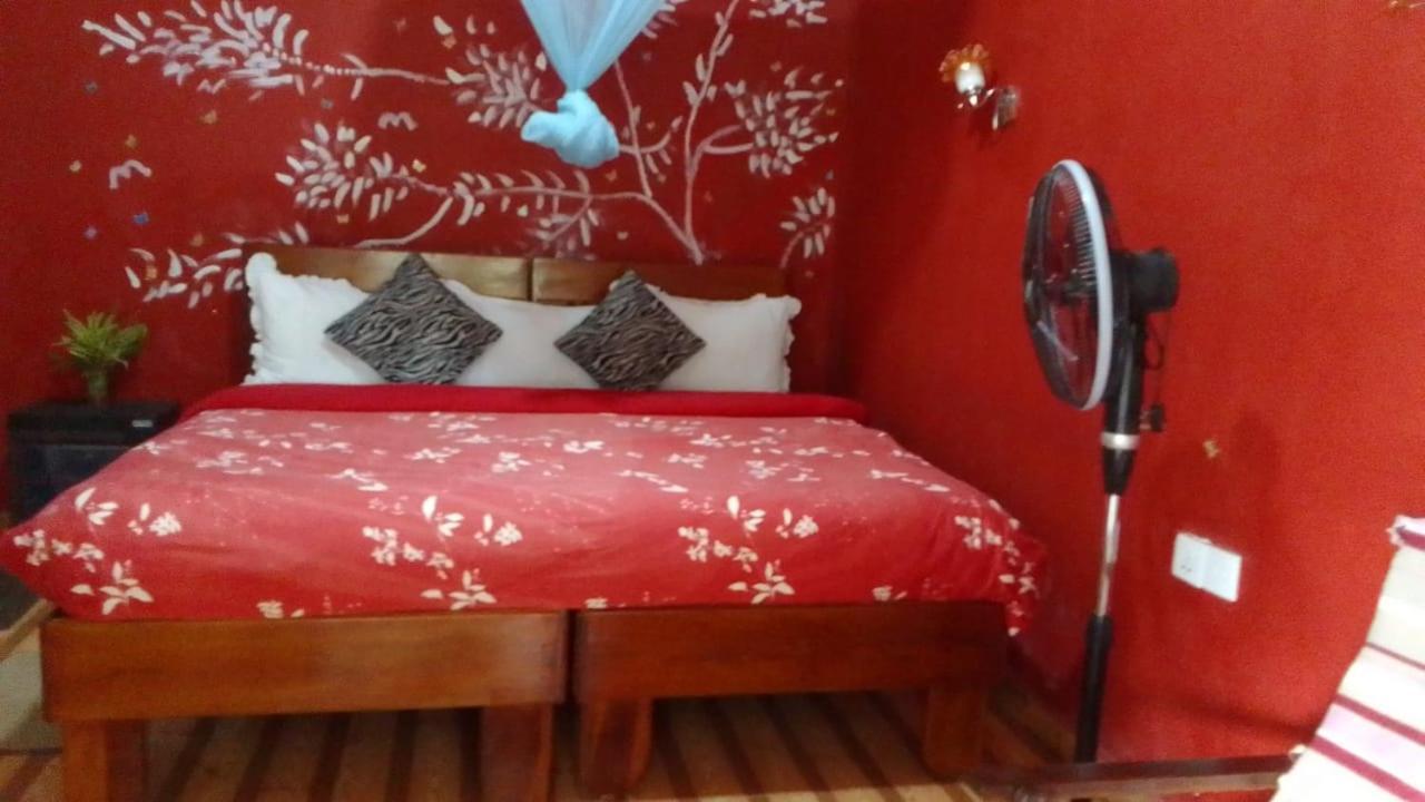 Secret Nest Homestay Procida Dış mekan fotoğraf