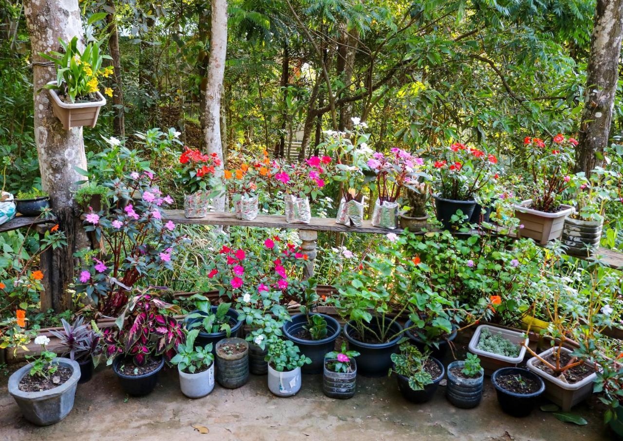 Secret Nest Homestay Procida Dış mekan fotoğraf