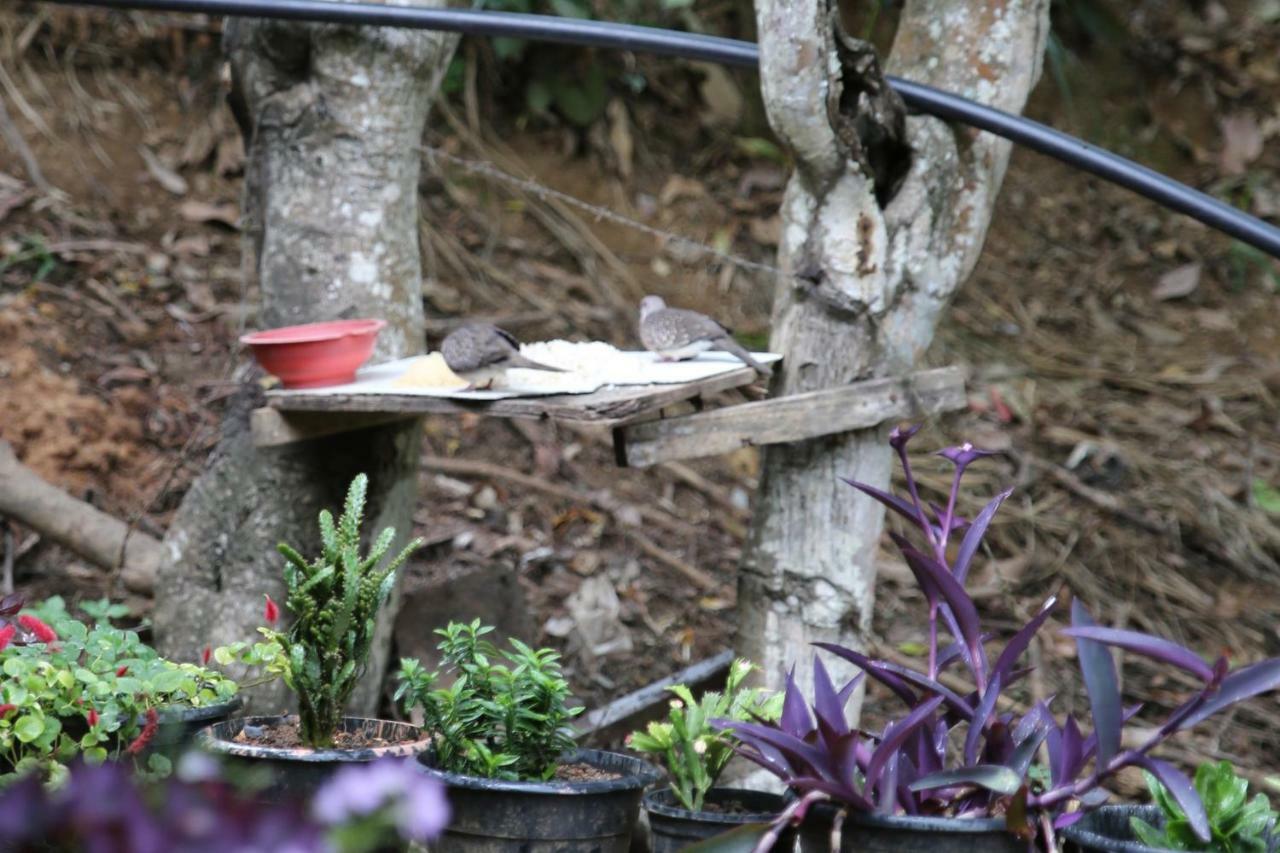 Secret Nest Homestay Procida Dış mekan fotoğraf