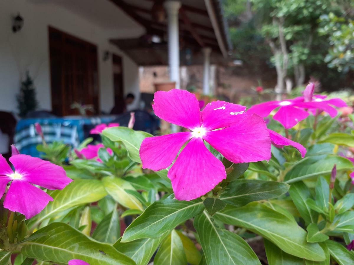 Secret Nest Homestay Procida Dış mekan fotoğraf